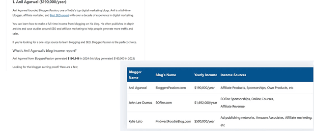 a blogger earnings img