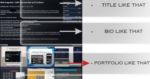 Professional Profile Example